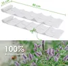 Katzenminze Samen Saatband 80 x 10 cm (Nepeta cataria) - Produktbild-Vorschau 4