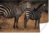 MuchoWow® Poster Zebras in der Savanne 90x60 cm - Produktbild-Vorschau 1