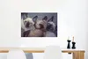 MuchoWow® Poster Drei siamesische Kätzchen liegen zusammen Produktbild-Vorschau 5