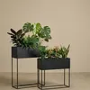 Two black metal planters with various green plants on a plain background. Produktbild-Vorschau
