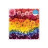GALISON Quadratisches Puzzle Regenbogenblumen 500 Teile Produktbild-Vorschau 2