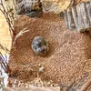 Schicker Mineral Hamsterglück Nussschalenstreu 3,5 kg Produktbild-Vorschau 8