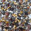 GEVO® Eichhörnchen-Futter - 1 kg Produktbild-Vorschau 5