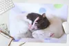 MuchoWow® Schreibtischunterlage Knuddelige Ratten 60x40 cm Produktbild-Vorschau 5