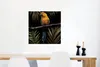 MuchoWow® Poster Vogel - Papagei - Zweig - Blätter 50x50 cm Produktbild-Vorschau 5