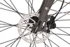 Alu E-Citybike Herren Hollandia Mantova 28'' grau 7 Gänge Produktbild-Vorschau 8