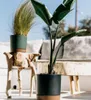Prosperplast s.r.o. Vaso da fiori TUBO PM 10,8 cm, Anteprima dell’immagine prodotto 9