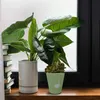 Gans Blumentopf mit einer Blumenwiese Produktbild-Vorschau 3