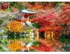 Bluebird Puzzle Jeu de puzzle Temple Daigo-ji Automne Kyoto Voir les images du produit 1