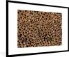 MuchoWow® Gerahmtes Poster Tiermuster - Leopard - Gold - Produktbild-Vorschau 1