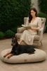 Lit orthopédique pour chien Coussin pour chien Canapé pour Voir les images du produit 2