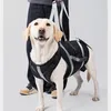 Hundetragehilfe XL für große Hunde, Reha-Geschirr mit Produktbild-Vorschau 6