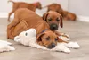 TRIXIE Schlenker-Lama für Hunde - diverse - 40 cm Produktbild-Vorschau 2