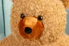A close-up shot of a teddy bear's face. Voir les images du produit
