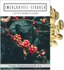 Kaffee Samen (Coffea arabica nana) - Immergrüner Produktbild-Vorschau 1
