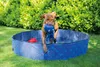 A dog is playing in a blue dog pool with a blue octopus toy in its mouth. Produktbild-Vorschau