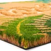 BRUBAKER 3D Fußmatte Welcome mit Blättern - 45x75 cm Kokos Produktbild-Vorschau 6
