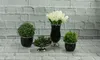 A collection of decorative plants and flowers in black pots and vases, arranged on a white brick surface. Produktbild-Vorschau