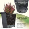 A cross-section of a planter showing its internal structure and drainage system, with a plant in the upper part. Another planter is shown from the inside in the upper right corner. Produktbild-Vorschau