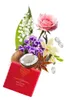 Pascal Morabito Lady In Red Eau de Parfum, dameditie, 100 Productafbeelding-voorbeeld 5