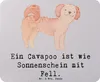 Mr. & Mrs. Panda Mauspad Cavapoo Sonnenschein - Grau Produktbild-Vorschau 1
