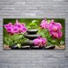 Glasbilder 120x60 Wandbild Druck auf Glas Blumen Steine Produktbild-Vorschau 2