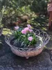 Shabby Chic Dekoschale Mireille Shabby Dekoschale Mireille Produktbild-Vorschau 1