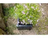 KHW Pflanzkasten, quadratisch, Abmessungen 43x43xH37 cm, Produktbild-Vorschau 11