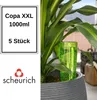 Scheurich Wasserspender Copa XXL | 5x Grün | 1000 ml Produktbild-Vorschau 1