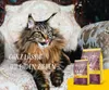 Josera 9702 Katzen-Trockenfutter 2 kg Adult Geflügel  Reis Produktbild-Vorschau 19