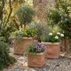 Teramico Bac à plantes « Cubo Rosone » Terre cuite Voir les images du produit 2