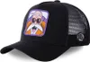 Capslab Caps Freegun Dragon Ball Z Kame Cap, CLDBZ1KAMC Produktbild-Vorschau 3