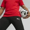 Puma Teamgoal Polyesterhose Herren - Schwarz Produktbild-Vorschau 6