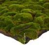 Repiterra® Terrarium Rückwand 3D Hintergrund Moos Design Produktbild-Vorschau 3