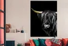 MuchoWow® Poster Schottischer Highlander - Horn - Gold Produktbild-Vorschau 2