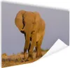 MuchoWow® Poster Afrikanischer Elefant im Sand 180x120 cm - Produktbild-Vorschau 1