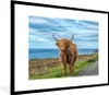 MuchoWow® Gerahmtes Poster Schottischer Highlander - Wasser Produktbild-Vorschau 1