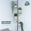 A corner shelf unit with plants, showcasing its suitability for corners and rotating shelves. Produktbild-Vorschau