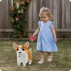 Lolex | Interaktiver Hund - Corgi - Bunt - Realistische Produktbild-Vorschau 9
