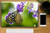 MuchoWow® Laptop Aufkleber Sticker Cover Lavendel - Produktbild-Vorschau 2