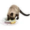 Trixie Junior Katzenspielzeug Kitten Circle Produktbild-Vorschau 8
