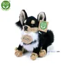 Rappa Plüsch Chihuahua Kuscheltier 15 cm umweltfreundliches Produktbild-Vorschau 11