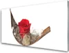 Acrylglasbilder 100x50 Wandbild Druck Rose Pflanzen Produktbild-Vorschau 1