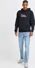 Blend He BHSweatshirt Herren Kapuzenpullover Hoodie Produktbild-Vorschau 2