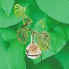 Flora Hydro Vase avec support métallique Voir les images du produit 6