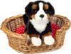 Teddy-Hermann Teddy Hermann Bernský salašnický pes na Náhled obrázku produktu 3