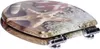A toilet seat with a seashell and starfish design on a wooden background. Produktbild-Vorschau