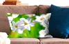 MuchoWow® Zierkissen Sofakissen Wohnzimmer Dekokissen 60x40 Produktbild-Vorschau 2