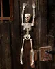 Halloween Skelett 40 cm - Beweglich Produktbild-Vorschau 2