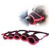 A dog wearing a muzzle, with a set of different sized muzzles displayed below. Podgląd zdjęcia produktu